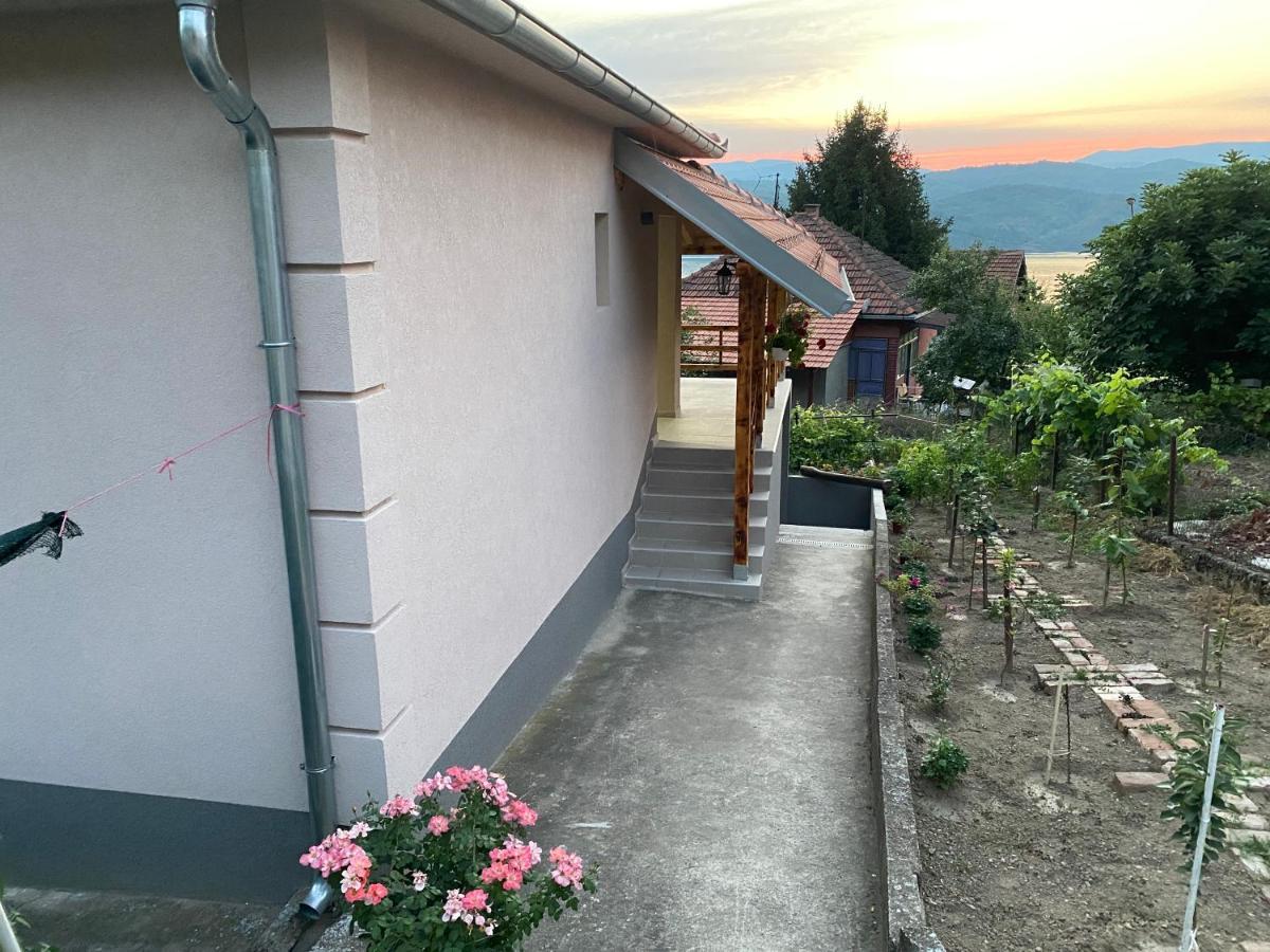 Smestaj Zeka Tekija Tekija  Exterior foto
